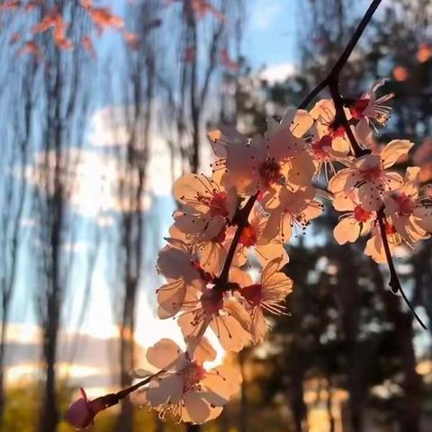 人生在勤，不索何获——八（7）班寒假作业检查小记