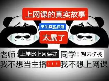 真实网课日常，学生对网课的反响，网课回忆录，选自普生搞笑真实经历！