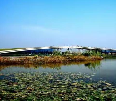 湿地园办 持续发力 开展铁腕治霾各项工作