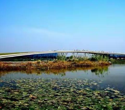 湿地园办周末不停歇 严查区域河道排水口情况