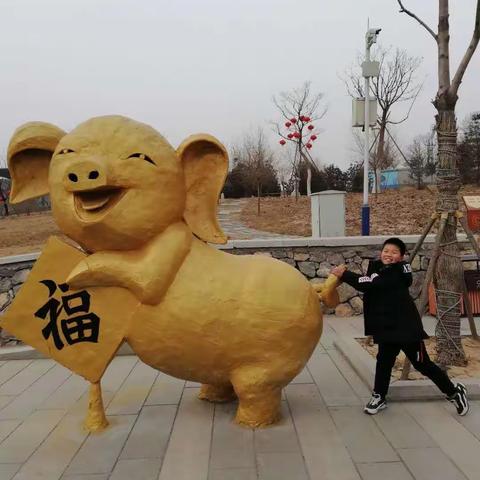 多姿多彩过大年——舞钢市实验小学四三班孩子春节掠影