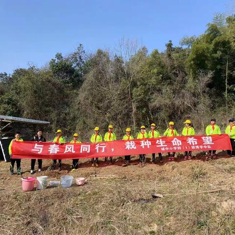 与春风同行，栽种生命希望