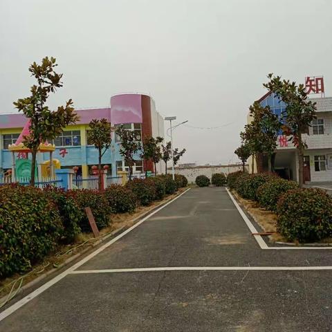 战疫情，添新绿