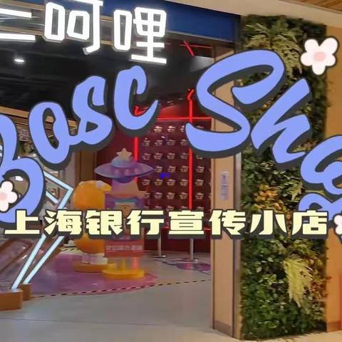 银行现场“开店” 市民热闹“赶集”——上海银行南通分行开展存款保险宣传活动