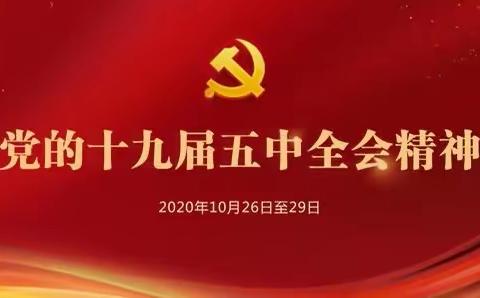 “红领巾心向党——十九届五中全会精神学习”商家林小学系列活动