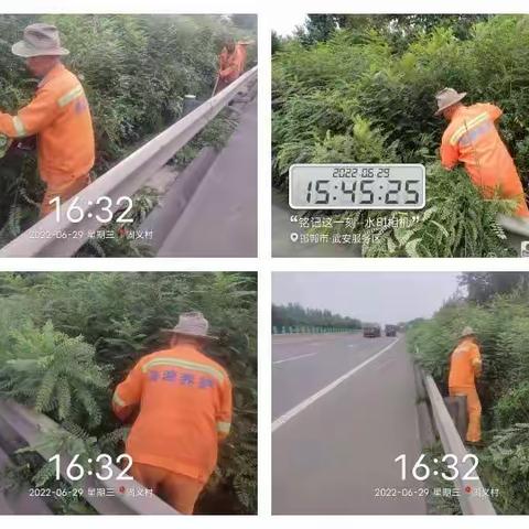 四标段工作动态