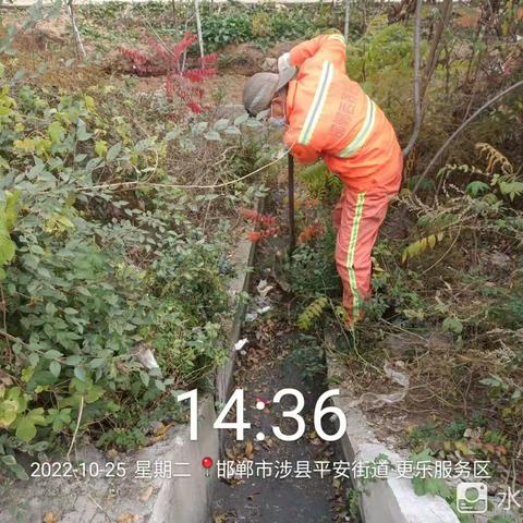 四标段工作动态