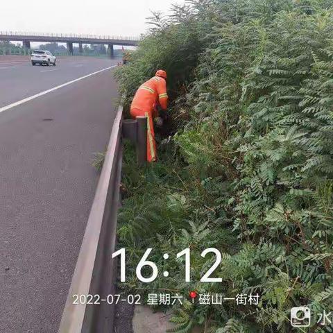 四标段工作动态
