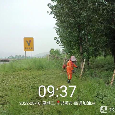 四标段工作动态
