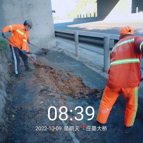 四标段工作动态
