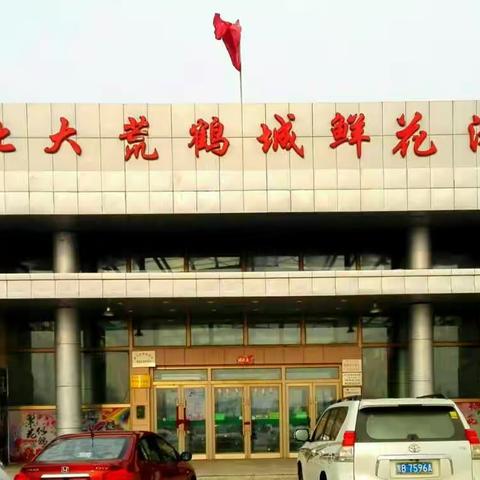 2018年4月8日，姐妹们在北大荒鲜花港，拍下美好的回忆。