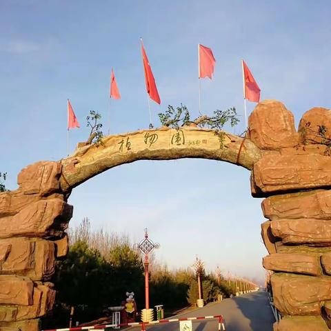 快乐旅行——依安植物园（2018.6.28-30）