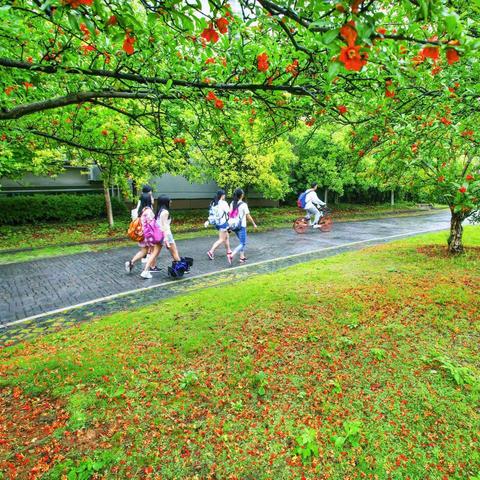 五月，榴花照眼明