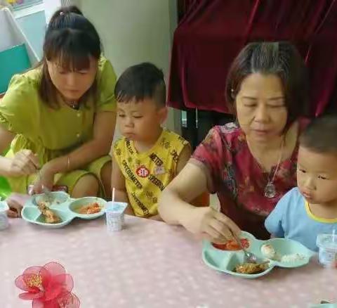 太阳成长日记