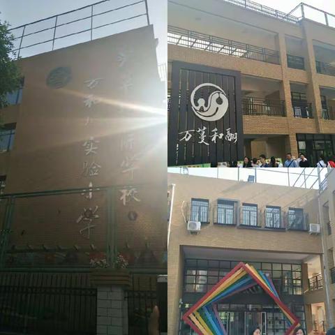 跟岗实践：播种 收获――感悟数学之美主题教研活动 芳草地国际学校 万和城校区之旅