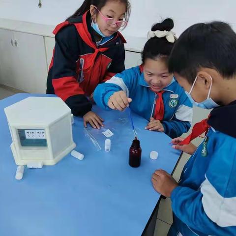 天心区梨塘小学五（4）班科学实验校本课第5次课教学