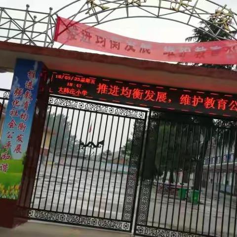 美丽的大陈庄学校
