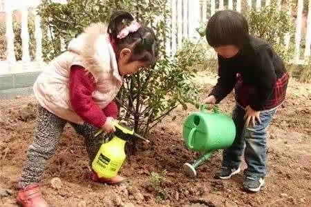 大三班级-植树节活动