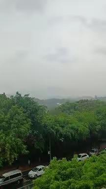 喜春雨