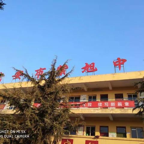 感于心，践于行——紫旭中学七年级在行动，德育教育在路上