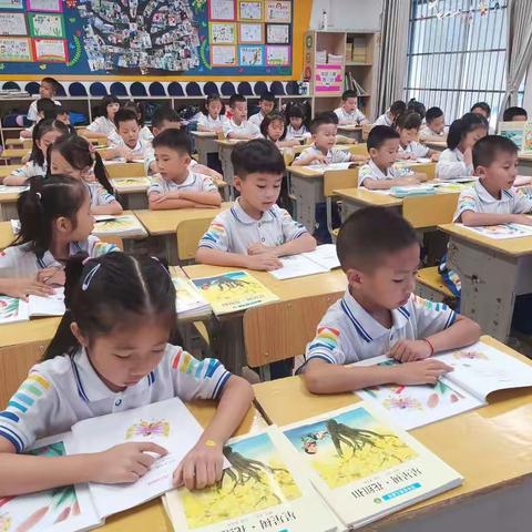 绘本浸润心灵 童言童诗助成长——三亚市第九小学一年级“灵悦读”课程剪影