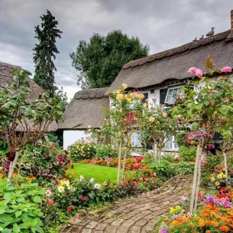 当我们老了，想有个小院，过这样的生活