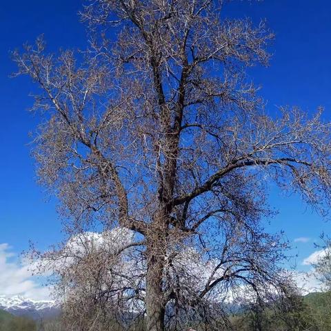 据说每个人心里、都有一只想旅行的小魔鬼。