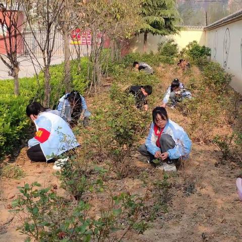 相约春天  播种绿色--杨家沟小学植树节活动