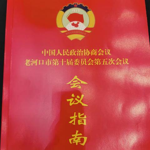 实干笃行促发展，聚力谋远谱新篇——政协十届五次会议日程之委员视察篇