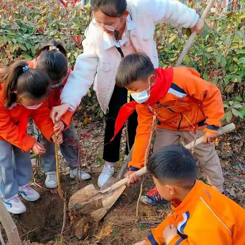 我为校园添新绿——陈楼小学植树节活动