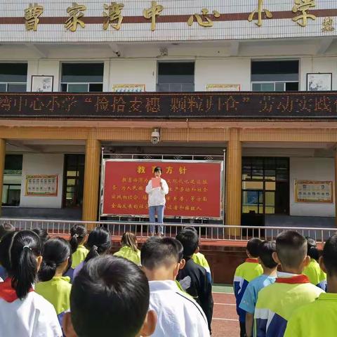 喜迎二十大，争做好队员——曹家湾镇中心小学“捡拾麦穗，颗粒归仓”劳动实践教育活动成果丰硕