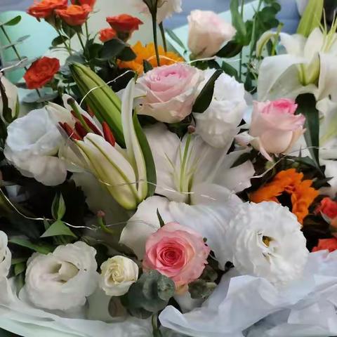 凝心聚力       收获幸福