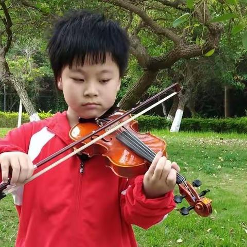 漫漫学琴路 . 伴随我成长