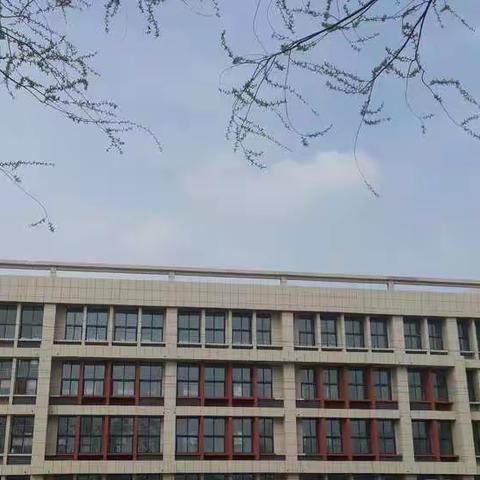 寺庄中学党带团  我们的明天会更蓝
