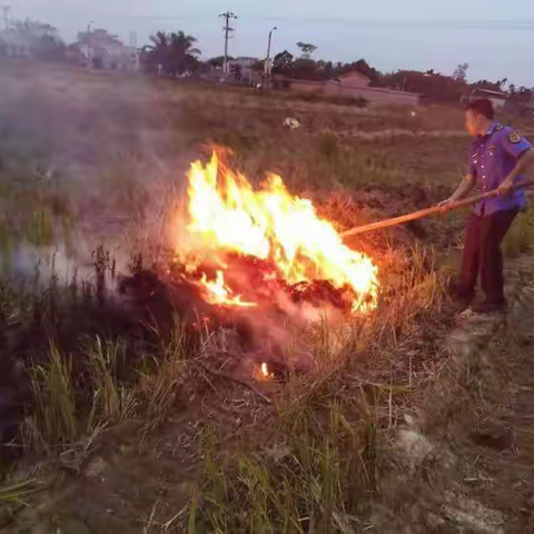 县综合行政执法局执法二大队开展打击露天焚烧秸秆专项整治行动