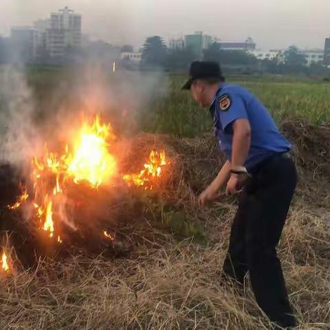 县综合行政执法局执法二大队开展打击露天焚烧秸秆专项整治行动