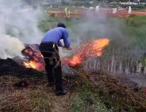 县综合行政执法局执法二大队延续开展秸秆禁烧专项行动