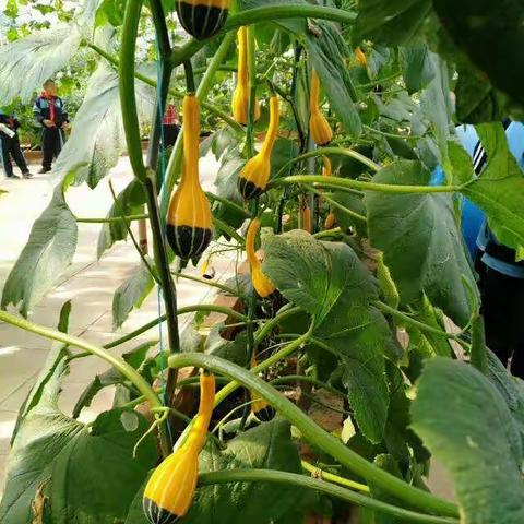 童年时光美好、快乐，一张张稚嫩的笑脸，愿你们永远这般……