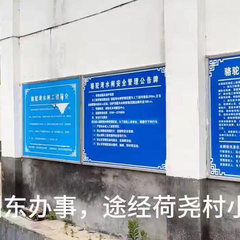 湘东区荷尧村骆驼湾水轮泵电站一瞥。