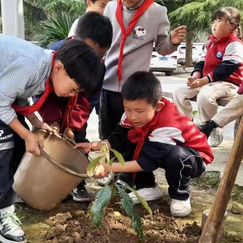 2023年石莲镇完小植树节  ——绿化地球  美化环境  净化心灵