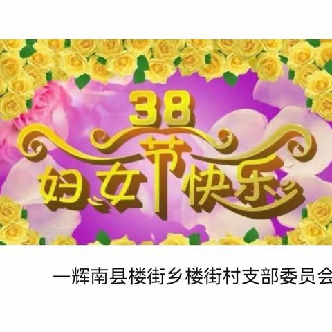 楼街村开展“三八妇女节”主题党日活动