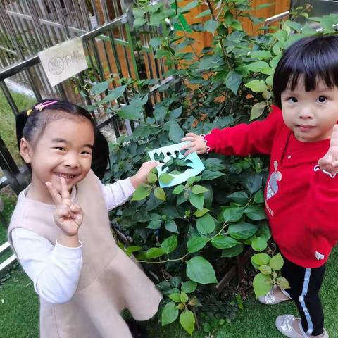 六一幼儿园中二班第十二周活动花絮