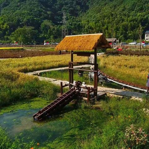 国庆游东钱湖-俞塘村