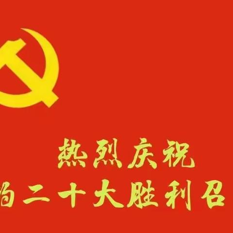 汉沽支行房金党支部观看二十大心得