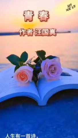 【诗朗诵】 美音波诵艺术团学员 朗诵汪国真《青春》