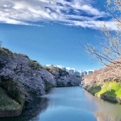 节气 · 驿站 · 心路