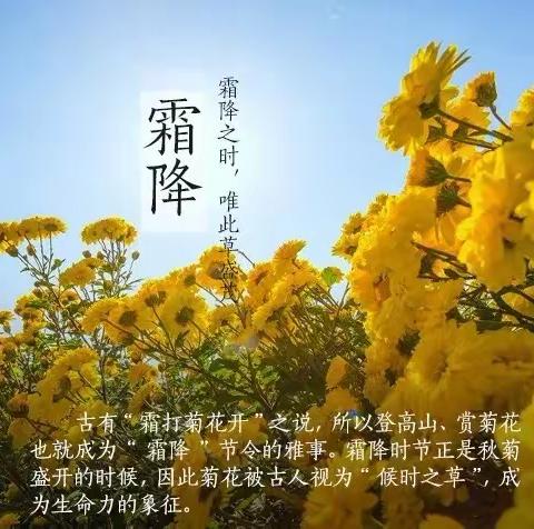 霜降有霜，而我有你、愿你“柿柿如意”