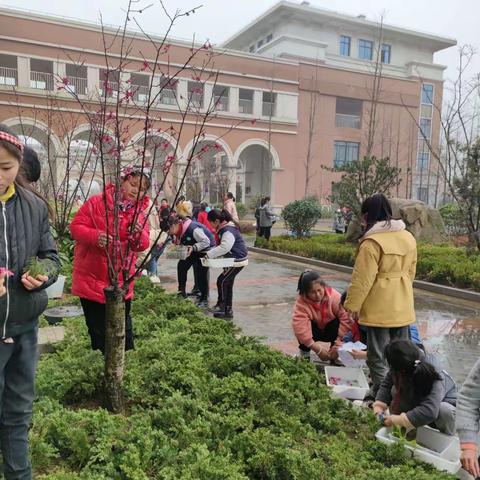 零落成泥碾作尘，变成画封存！——《櫓娃社团课程》树叶画剪影