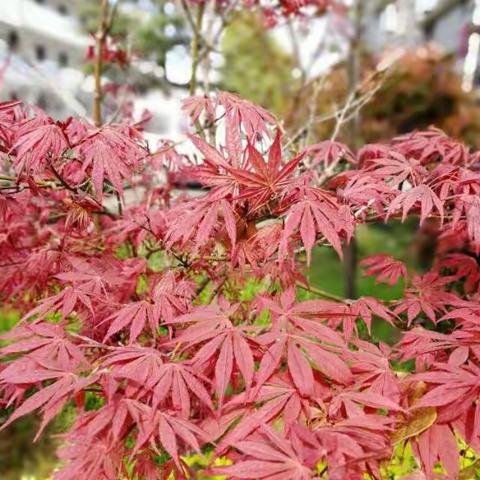 时光匆匆不忘初心         与时俱进不断发展——暑期致老师一封信