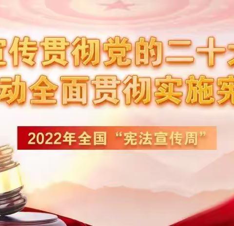 学习宣传贯彻党的二十大精神，自觉维护宪法权威—阳光小学宪法宣传周主题教育活动